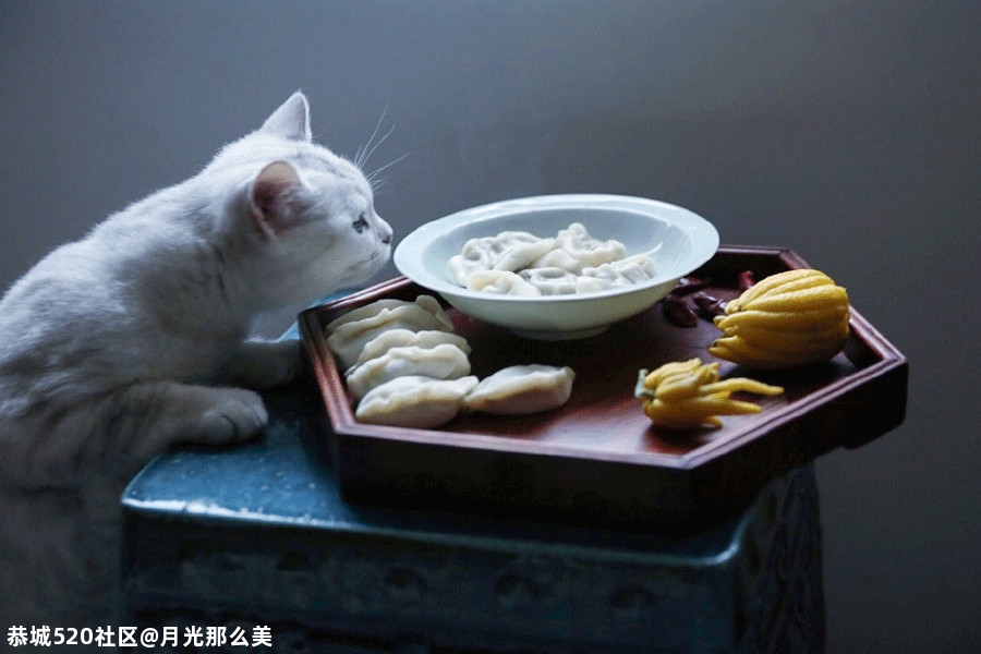 立冬｜2020年的冬天来了452 / 作者:月光那么美 / 帖子ID:279079