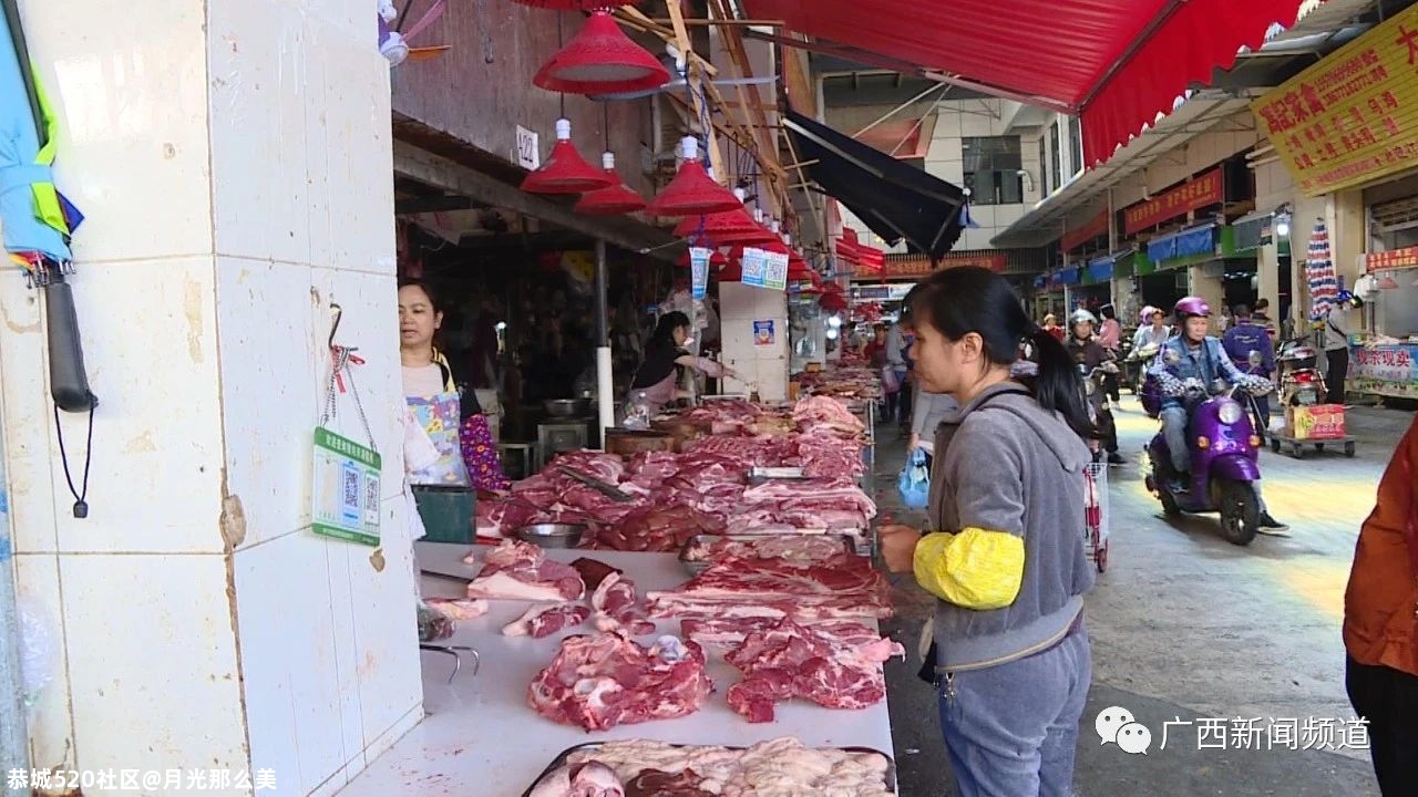 猪肉价格出现“1字头”，啥时候可再现“猪肉自由”？或许有答案了809 / 作者:月光那么美 / 帖子ID:279231