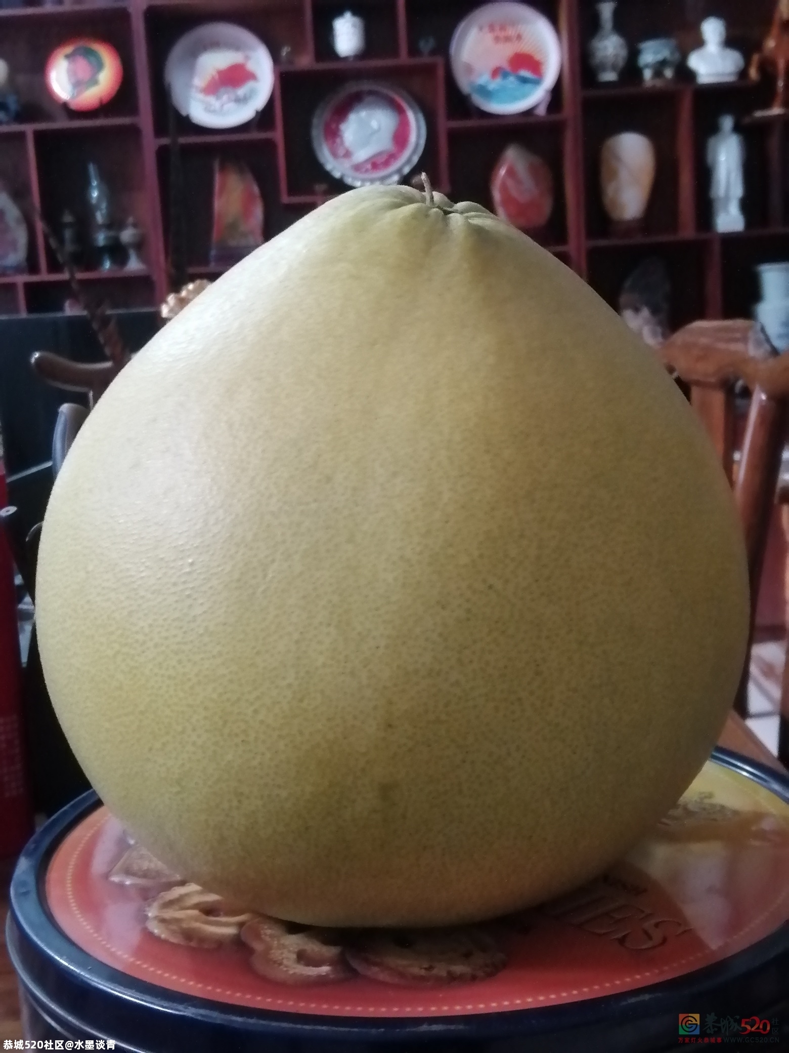还有没有比它更大的？397 / 作者:风凌天下 / 帖子ID:279637