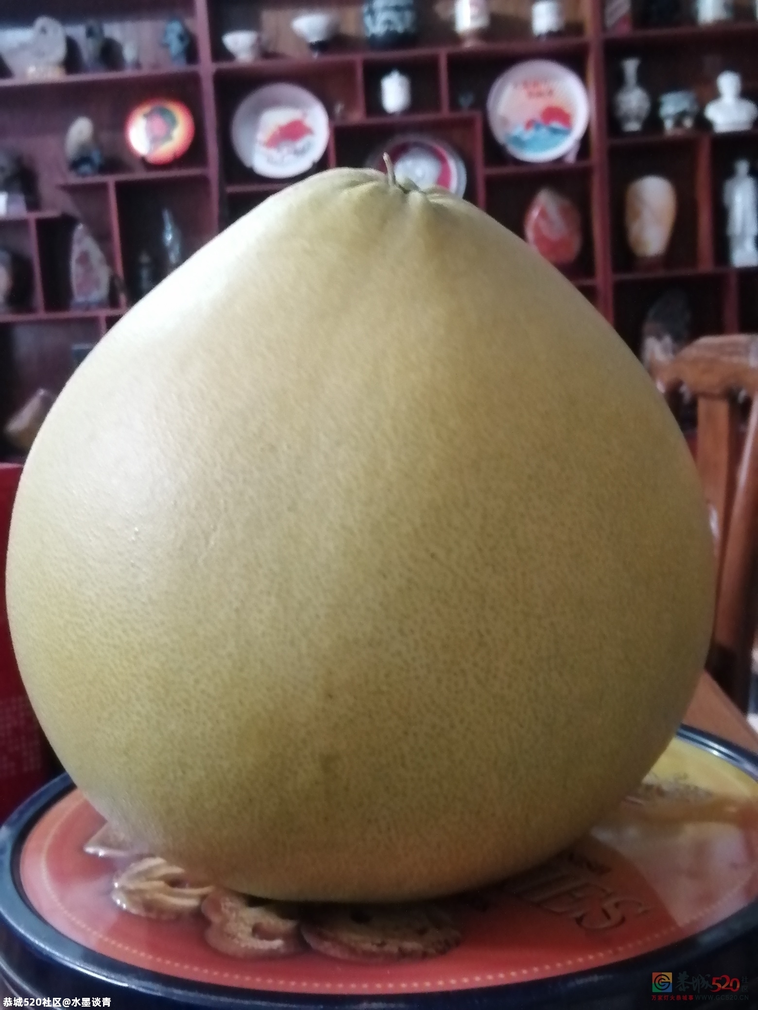 还有没有比它更大的？119 / 作者:风凌天下 / 帖子ID:279637