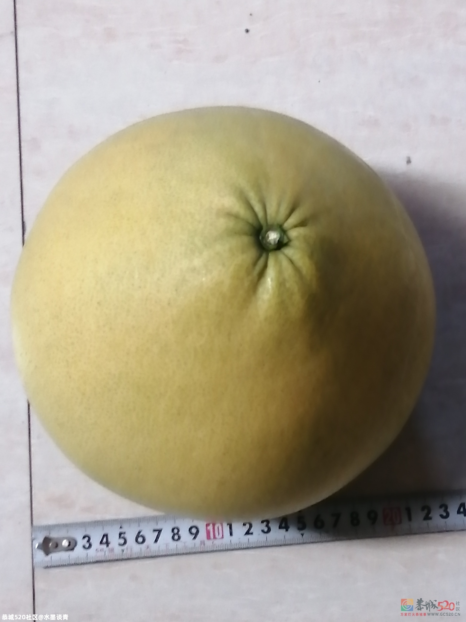 还有没有比它更大的？287 / 作者:风凌天下 / 帖子ID:279637