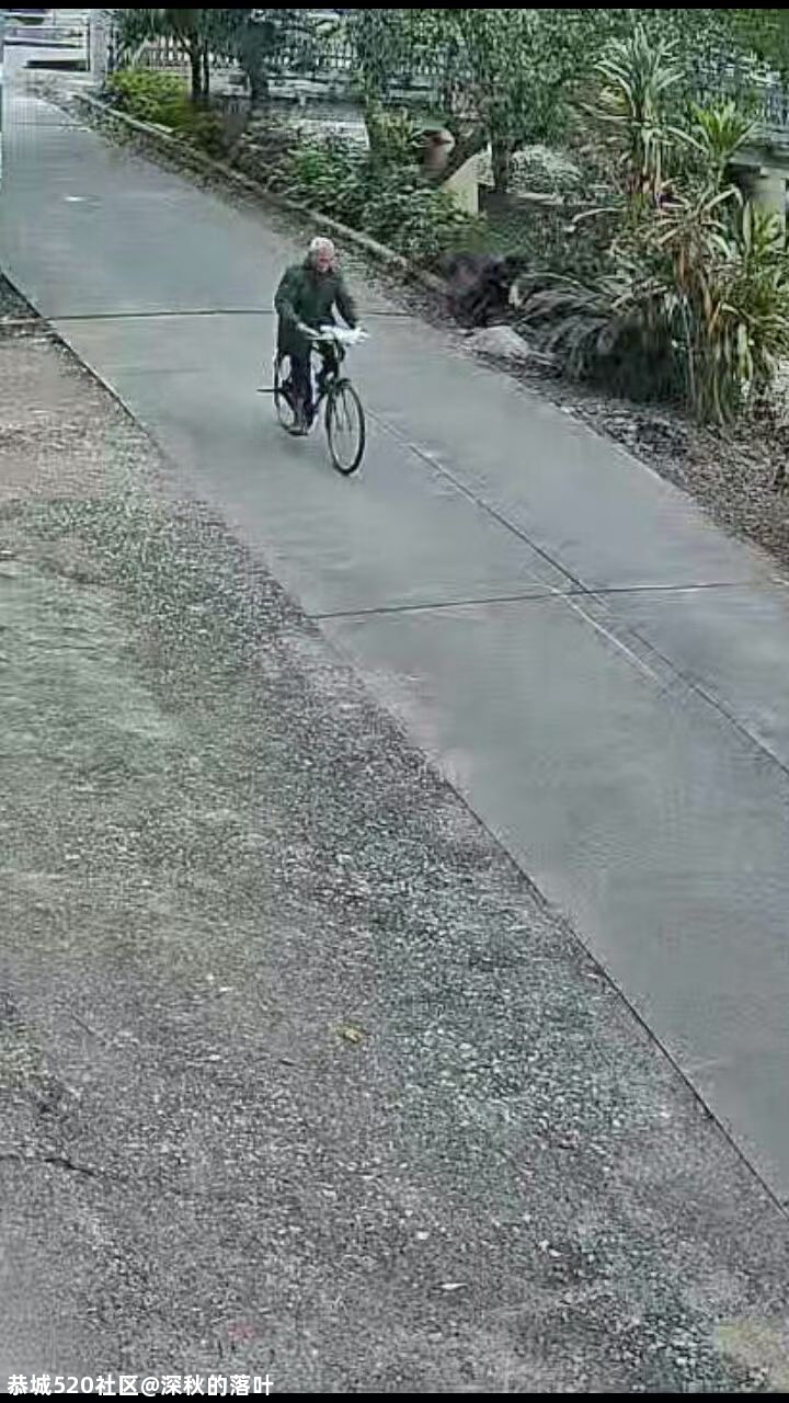 恭城平安镇老源村走失一名74岁老人874 / 作者:论坛小编01 / 帖子ID:279742