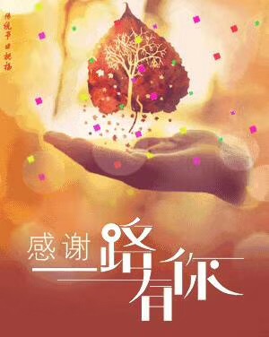 这个冬天235 / 作者:茶江飞雪 / 帖子ID:280406