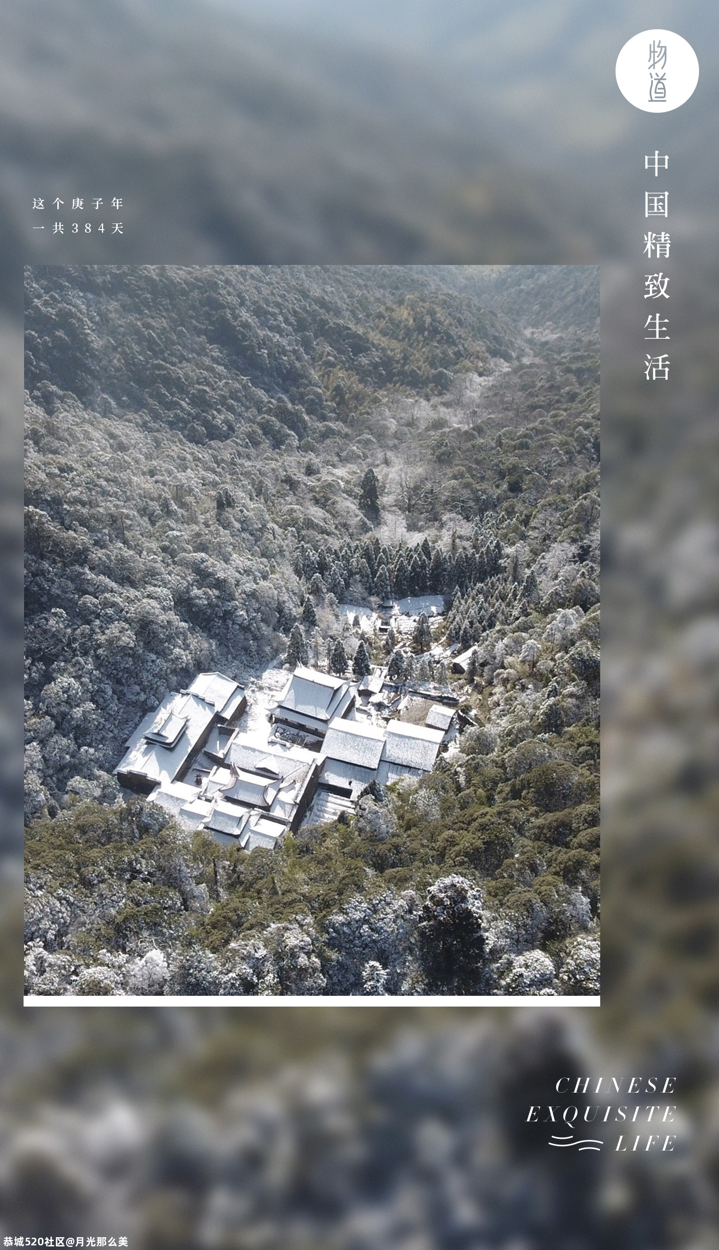 雅冬146 / 作者:月光那么美 / 帖子ID:280483