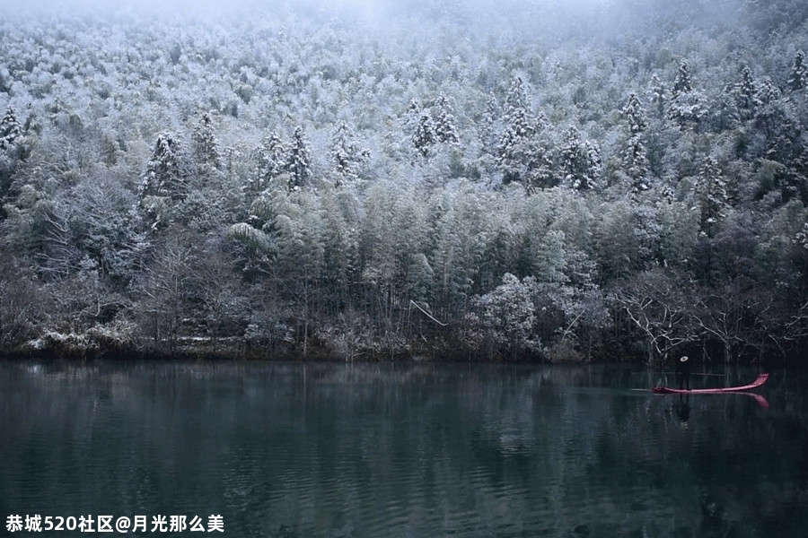 雅冬139 / 作者:月光那么美 / 帖子ID:280483