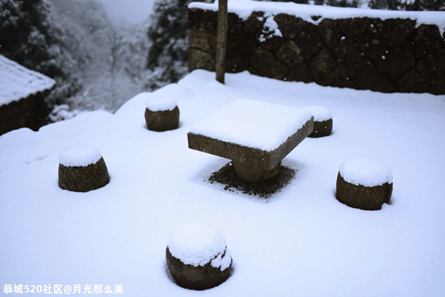 雅冬8 / 作者:月光那么美 / 帖子ID:280483