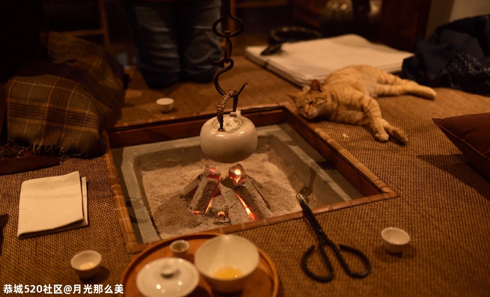 雅冬640 / 作者:月光那么美 / 帖子ID:280483