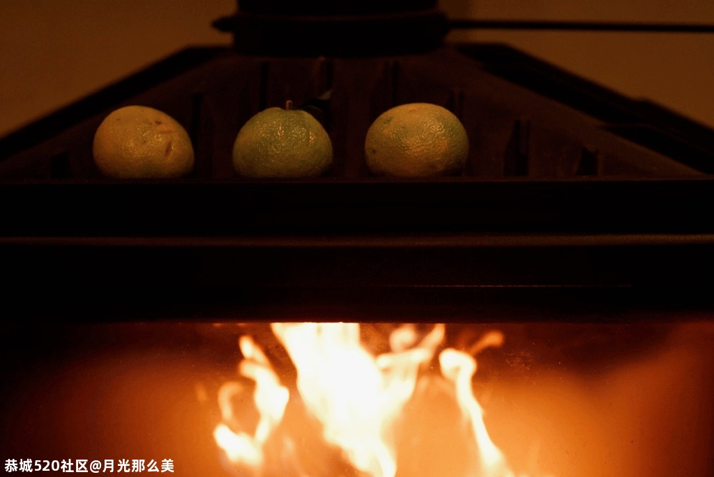 雅冬646 / 作者:月光那么美 / 帖子ID:280483