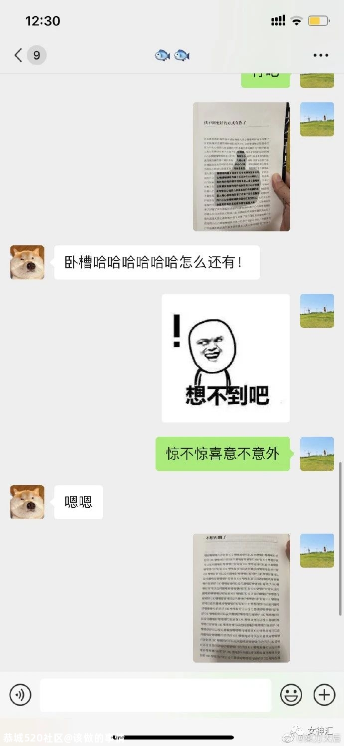 杨幂被当众吐槽，照骗和本人差别大？网友：“哈哈哈这回复太解气！”404 / 作者:该做的事情 / 帖子ID:280606