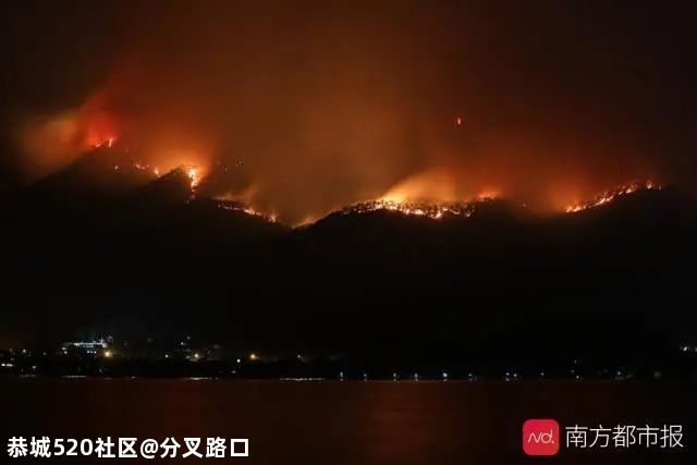 造成19人牺牲的凉山火灾，原因查清806 / 作者:分叉路口 / 帖子ID:280703