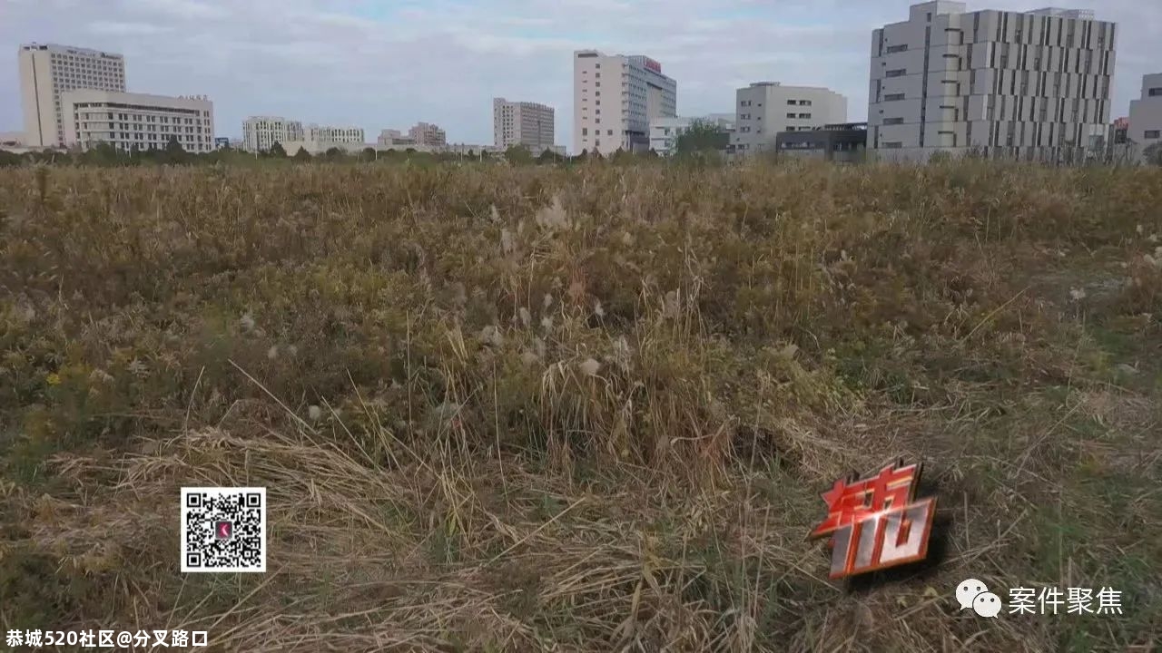 芦苇荡惊现无名女尸，警方排查睡衣网购信息破案！凶手竟是…572 / 作者:分叉路口 / 帖子ID:280704