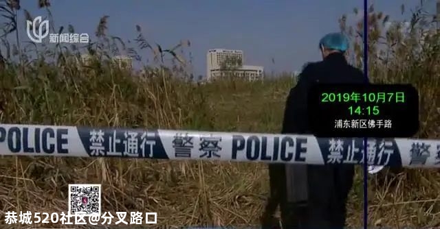 芦苇荡惊现无名女尸，警方排查睡衣网购信息破案！凶手竟是…230 / 作者:分叉路口 / 帖子ID:280704