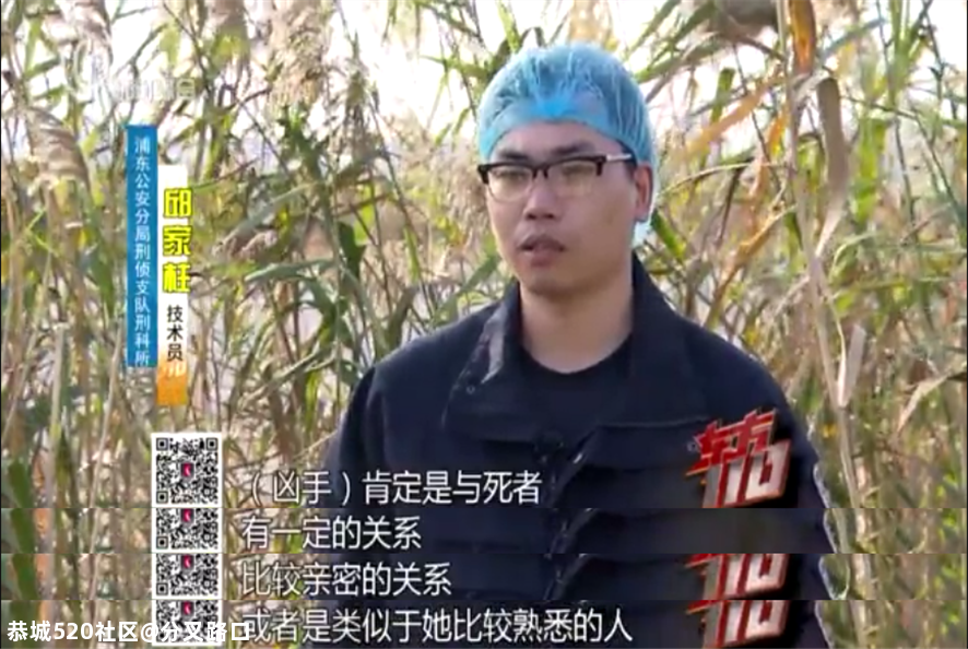 芦苇荡惊现无名女尸，警方排查睡衣网购信息破案！凶手竟是…820 / 作者:分叉路口 / 帖子ID:280704