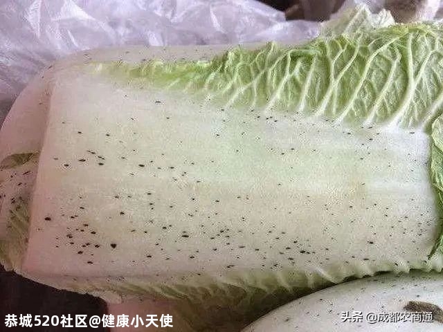 大白菜上“长了小黑点”就不能吃了？！“小黑点”到底是什么？多年的疑问解开了…149 / 作者:健康小天使 / 帖子ID:280977