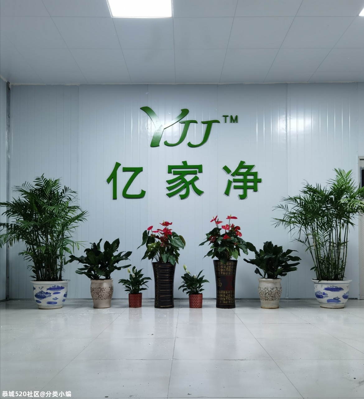 恭城本地口罩厂厂家直销价，无中间商！277 / 作者:分类小编 / 帖子ID:281340