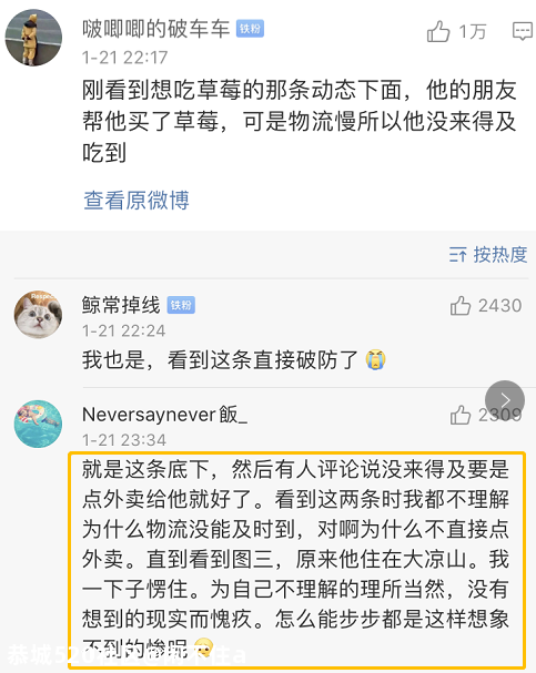 悼念B站up主墨茶official：一颗草莓能甜满人间疾苦吗？878 / 作者:闲不住a / 帖子ID:281652