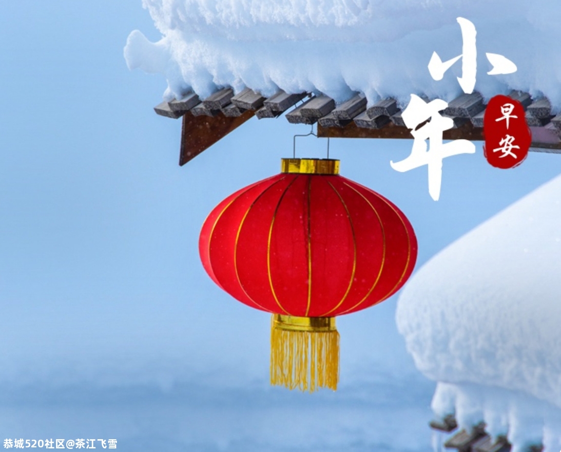 小年有感979 / 作者:茶江飞雪 / 帖子ID:282166