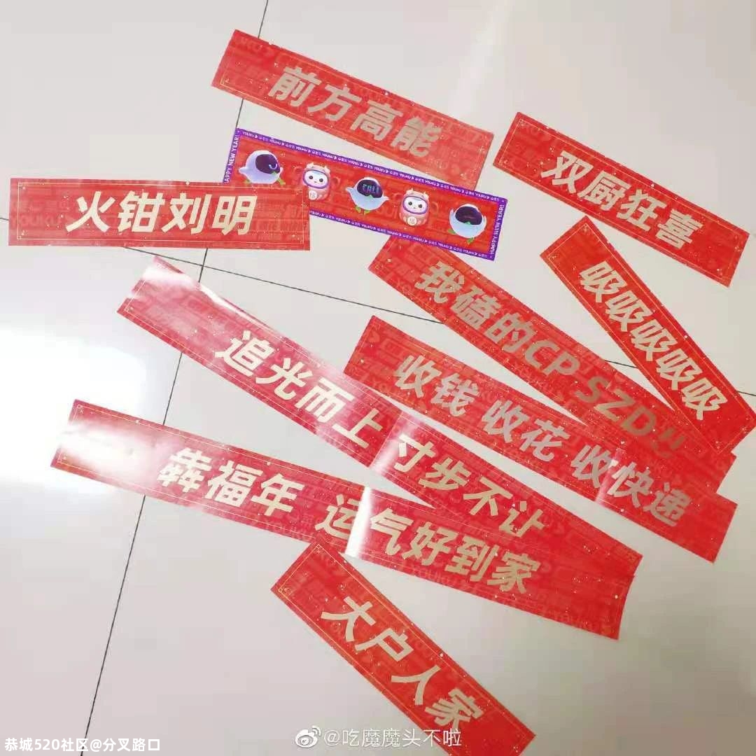 大开眼界！网友晒春联，太真实了646 / 作者:分叉路口 / 帖子ID:282220