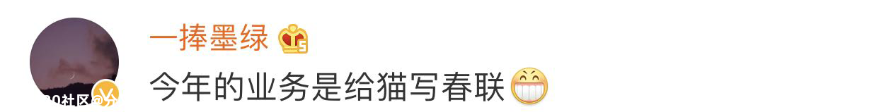 大开眼界！网友晒春联，太真实了333 / 作者:分叉路口 / 帖子ID:282220