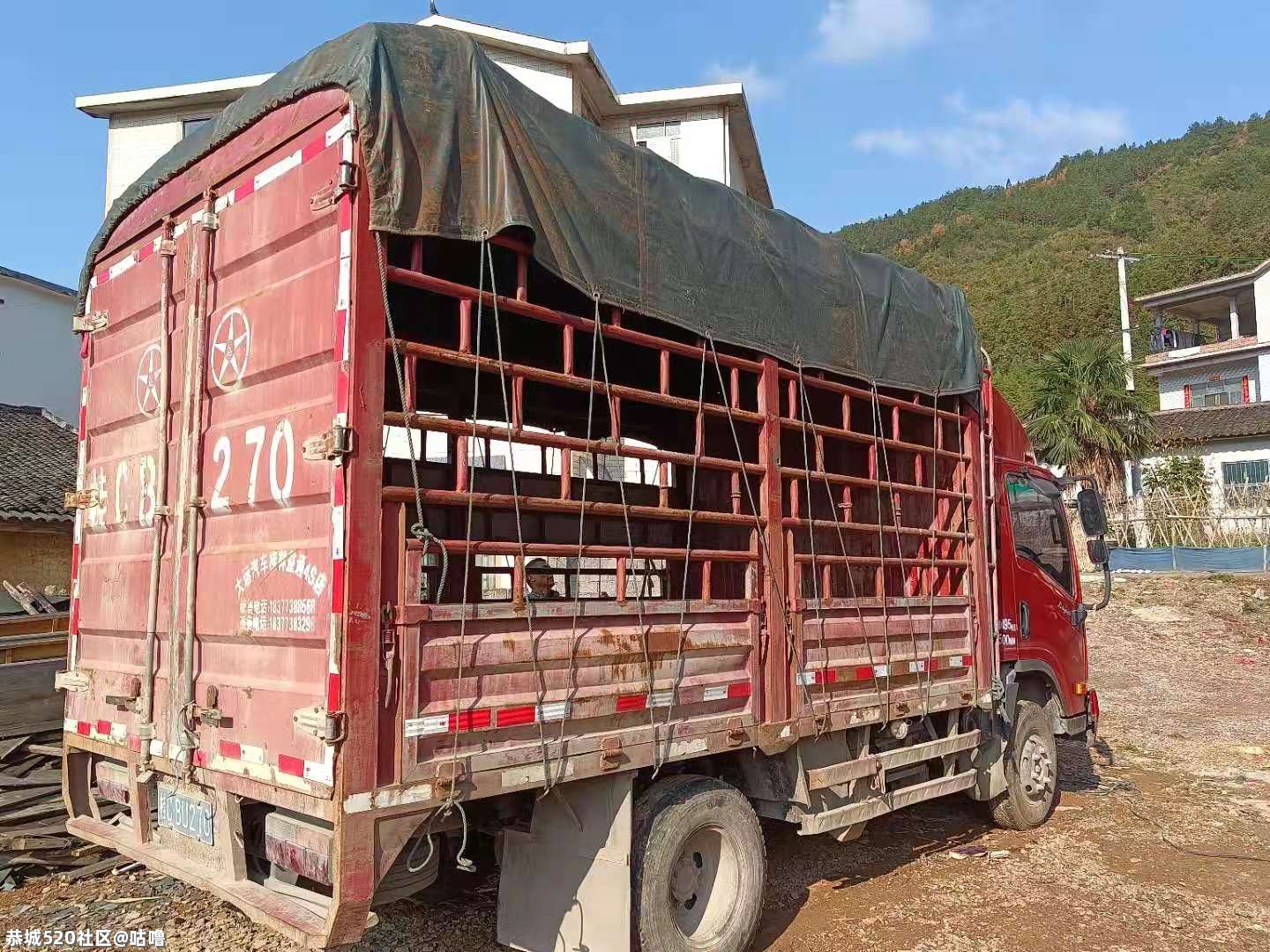 大运奥普力高栏货车转让838 / 作者:咕噜 / 帖子ID:282516