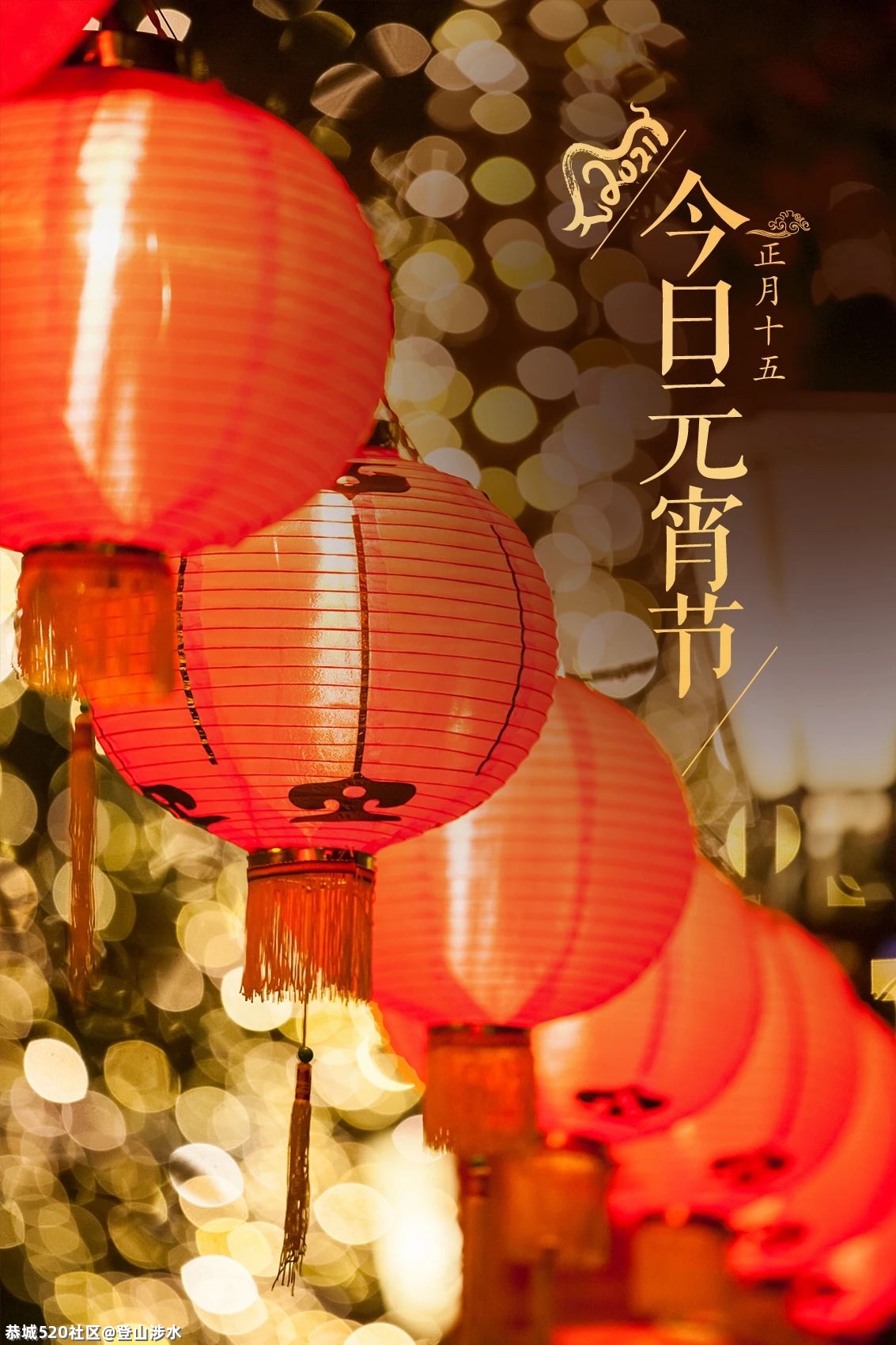 今日元宵节388 / 作者:登山涉水 / 帖子ID:282764