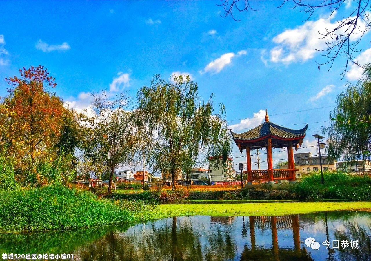 惊！我县这项国字号荣誉是怎么得来的？981 / 作者:论坛小编01 / 帖子ID:282835