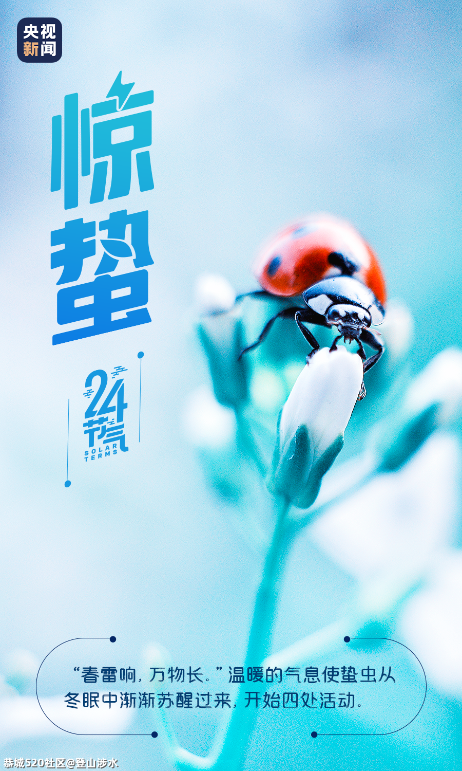 今日惊蛰270 / 作者:登山涉水 / 帖子ID:282980