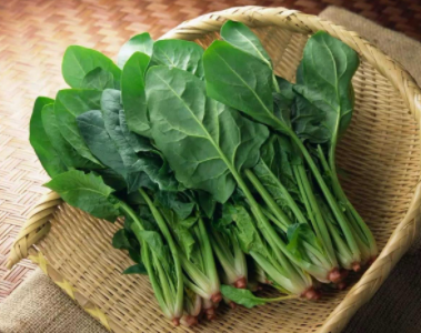 想要把自己的胃护理好？这几种食物一定要多吃哦~112 / 作者:健康小天使 / 帖子ID:283125