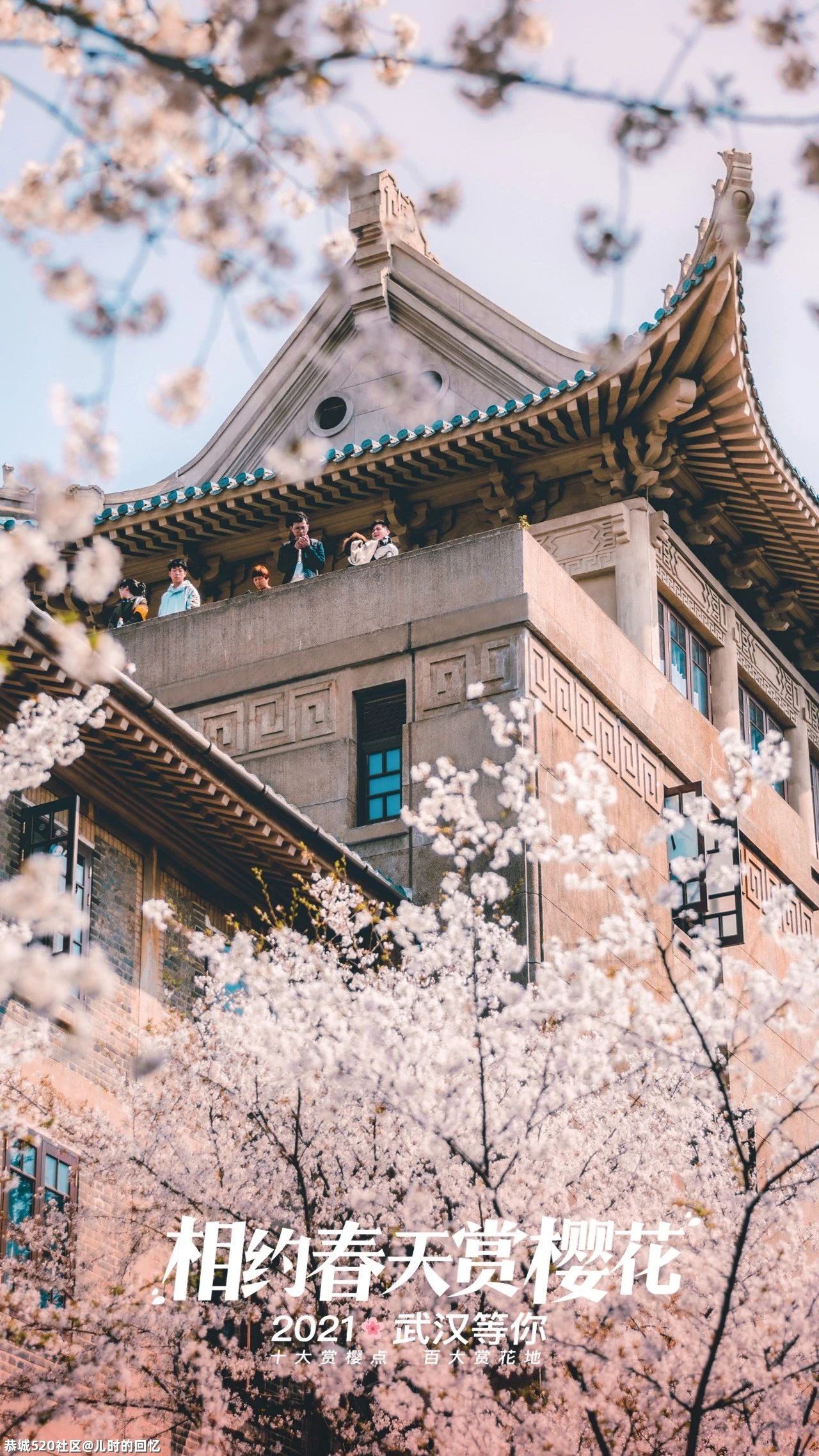中国“樱花之都”火上热搜：去年欠自己的旅行，是时候了！647 / 作者:儿时的回忆 / 帖子ID:283163
