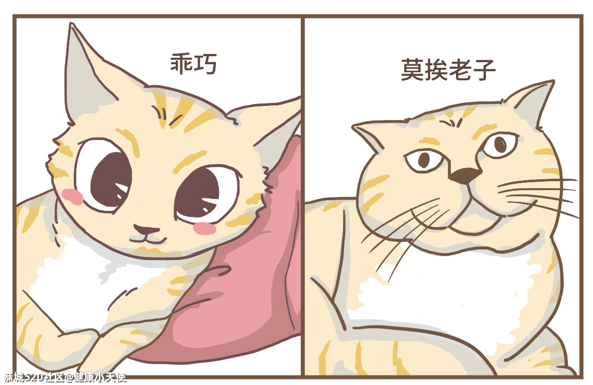 发腮，是一个人成熟的标志488 / 作者:健康小天使 / 帖子ID:283590