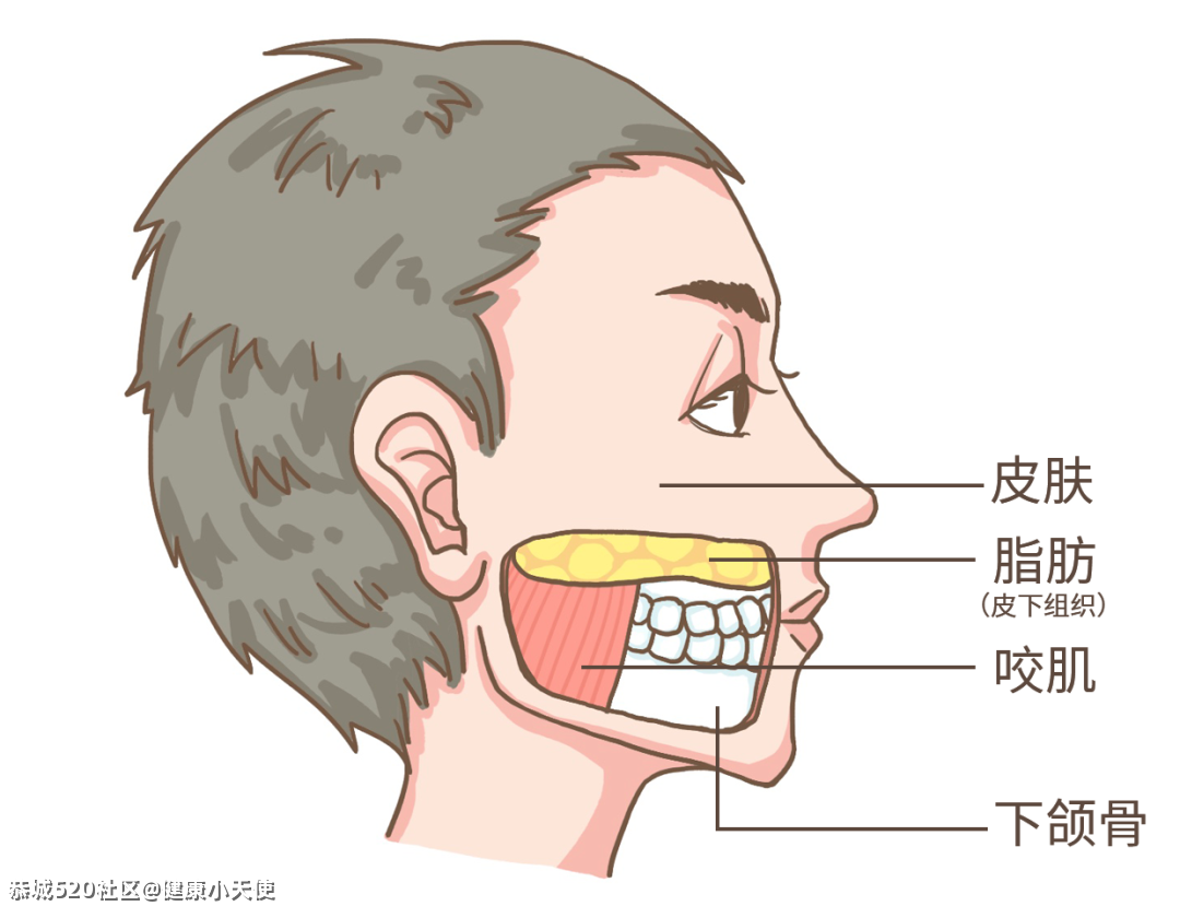 发腮，是一个人成熟的标志897 / 作者:健康小天使 / 帖子ID:283590