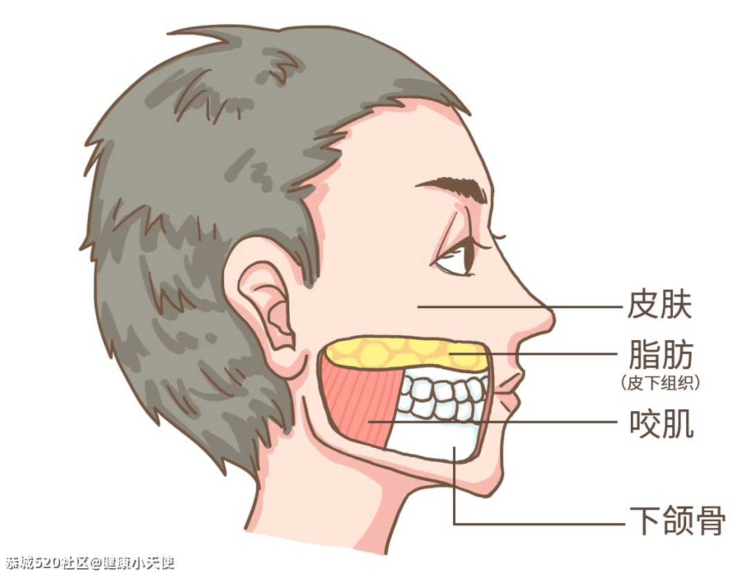 发腮，是一个人成熟的标志905 / 作者:健康小天使 / 帖子ID:283590