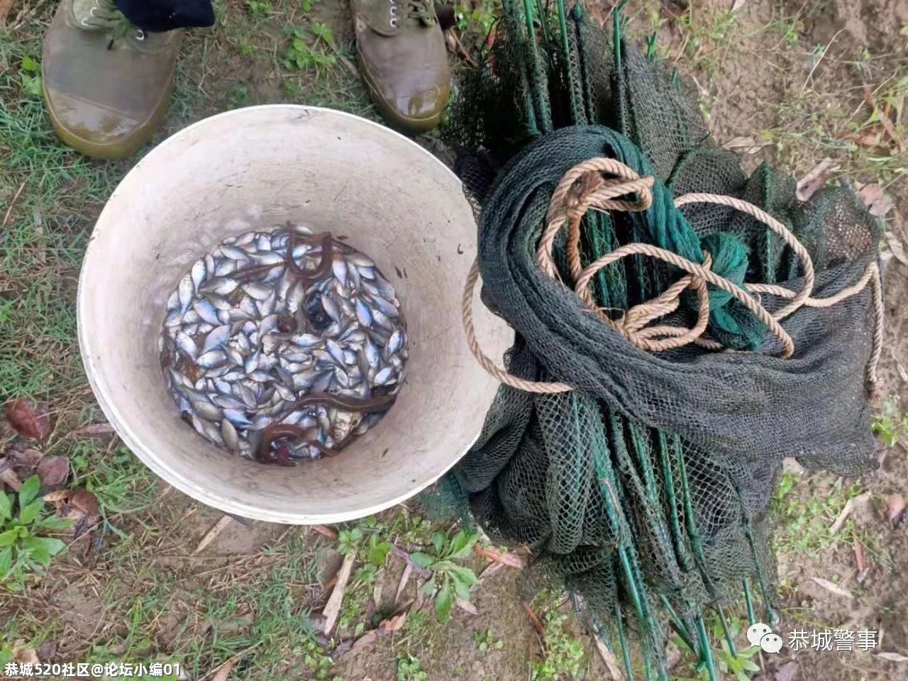 【禁渔期间】恭城这些人非法捕鱼，结果自己被“捕”261 / 作者:论坛小编01 / 帖子ID:283711