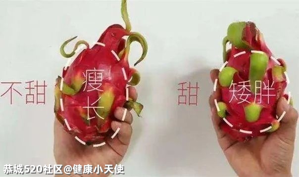 赶紧学会这4个挑火龙果小窍门！保证挑到好吃又甜的火龙果！92 / 作者:健康小天使 / 帖子ID:283745