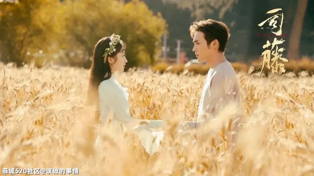 《司藤》：始于女性主义，陷于电视剧不行646 / 作者:该做的事情 / 帖子ID:283998