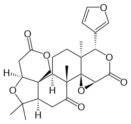 柠檬水泡久了，为什么会发苦？856 / 作者:健康小天使 / 帖子ID:284072