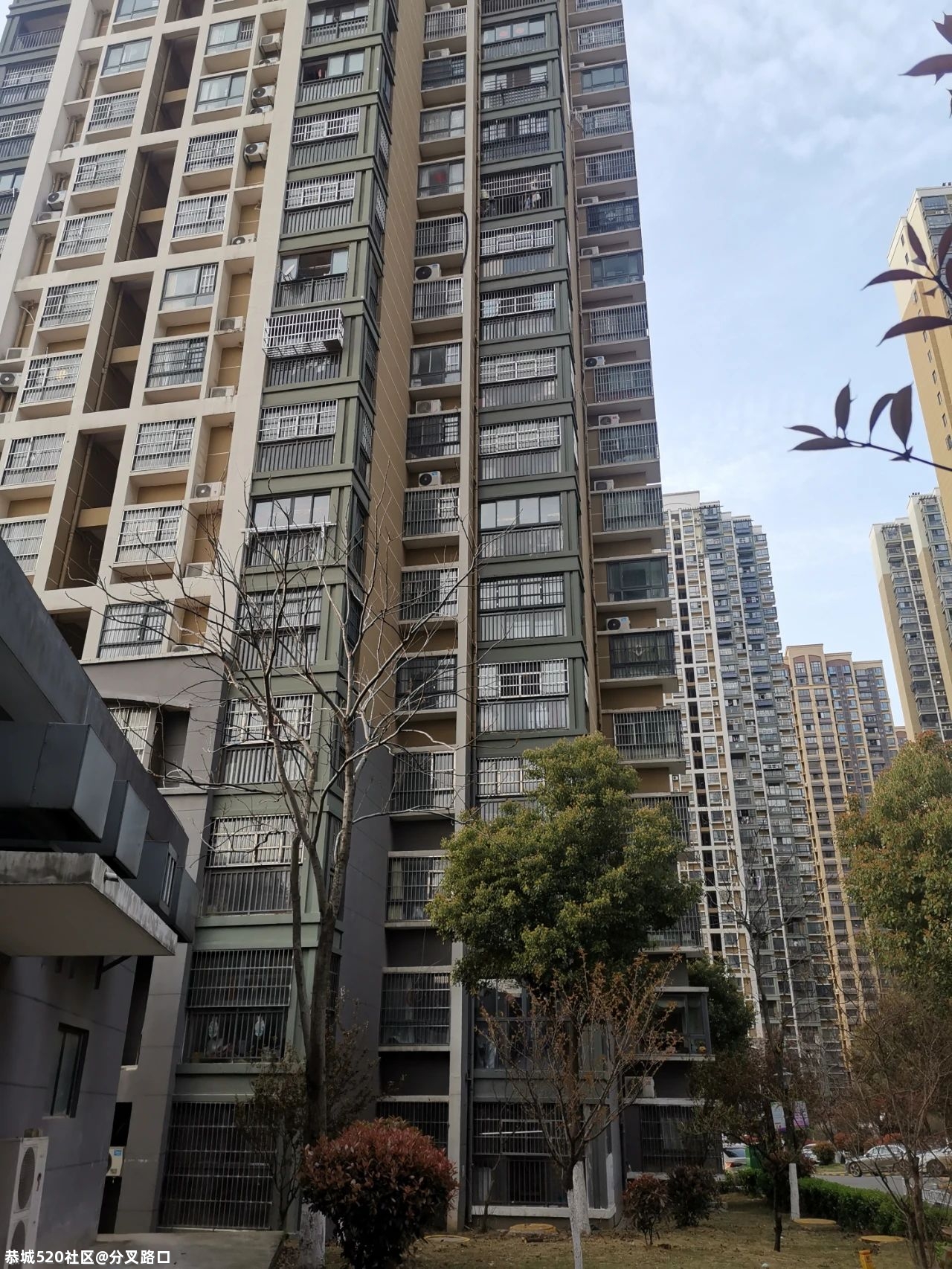 她带着两娃，从24楼坠下954 / 作者:分叉路口 / 帖子ID:284085