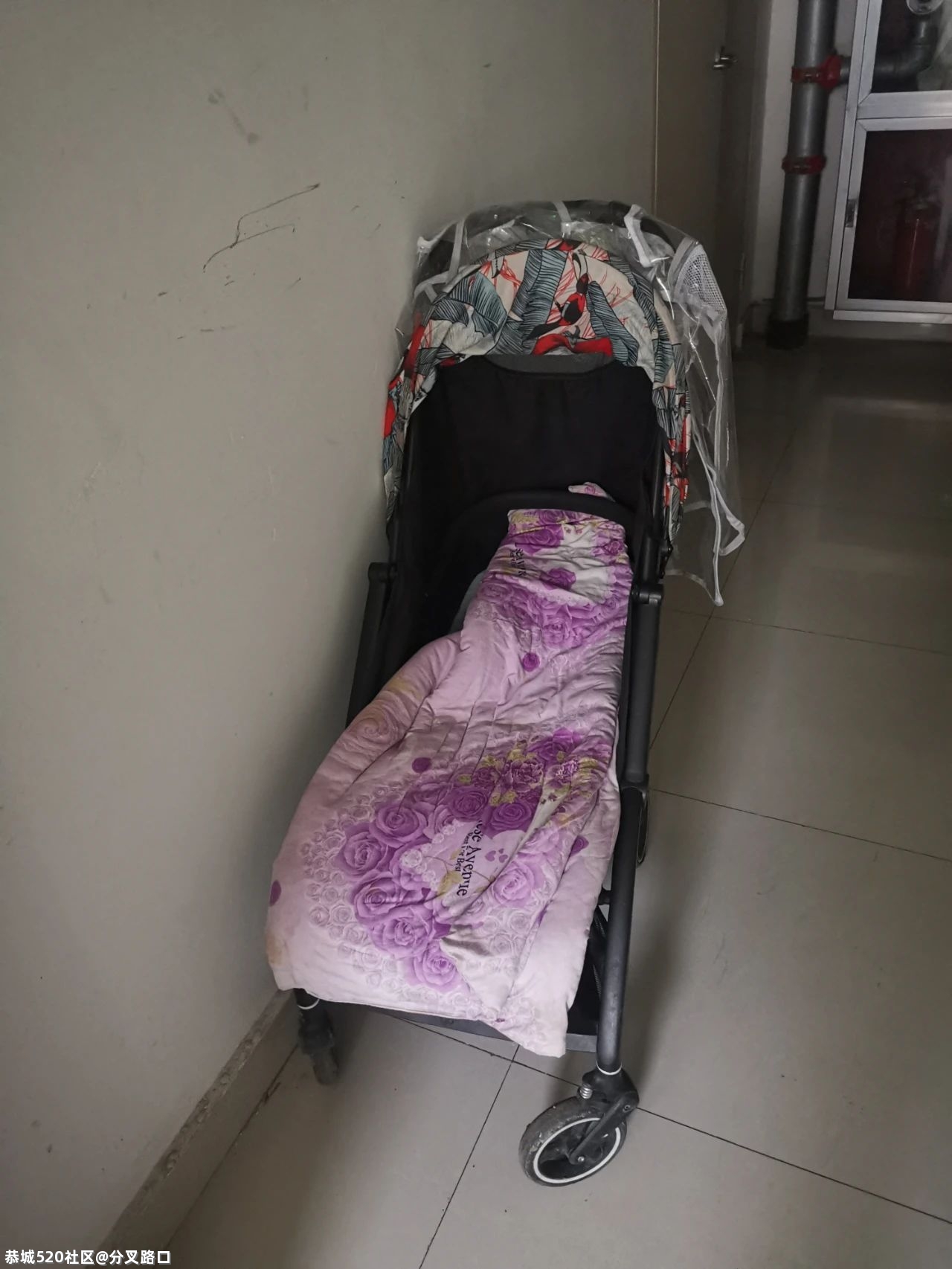 她带着两娃，从24楼坠下592 / 作者:分叉路口 / 帖子ID:284085