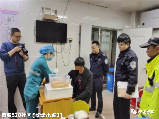 4小时告破！面对警方搜查压力，肇事逃逸嫌疑人投案自首168 / 作者:论坛小编01 / 帖子ID:284471
