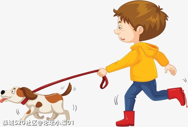 5月1日起，遛狗不拴绳违法，大家对此是什么看法？221 / 作者:论坛小编01 / 帖子ID:284494