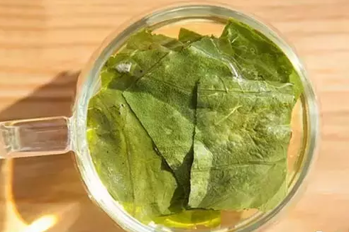 感觉自己体内湿气重？这些东西每天吃一点，帮你排出体内湿毒~500 / 作者:健康小天使 / 帖子ID:284885