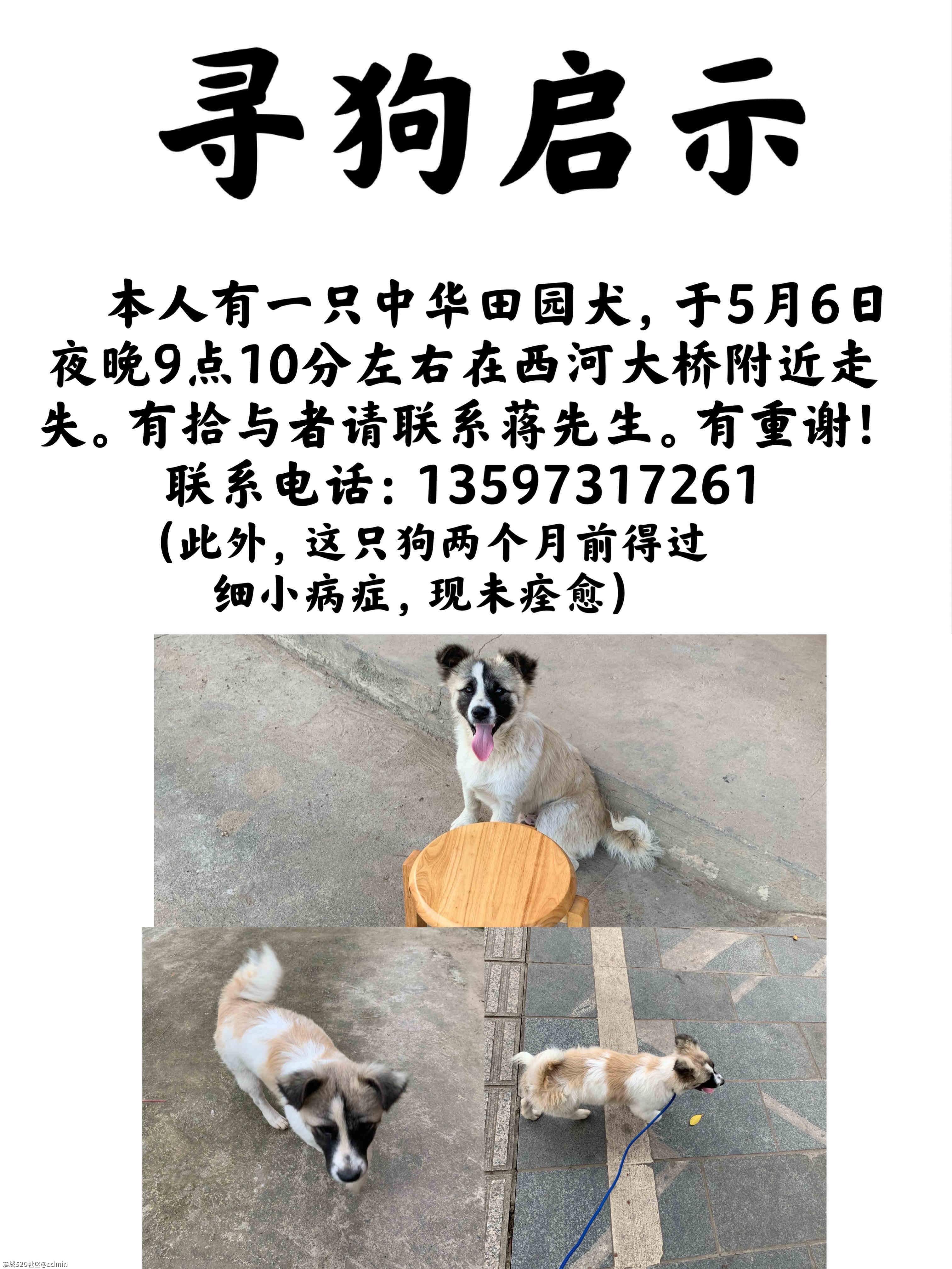 寻狗启示653 / 作者:论坛小编01 / 帖子ID:285027