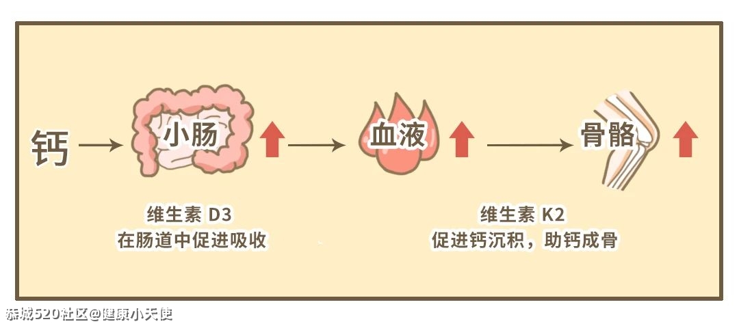 一个常见补钙误区你碰到过吗？快进来看！887 / 作者:健康小天使 / 帖子ID:285382