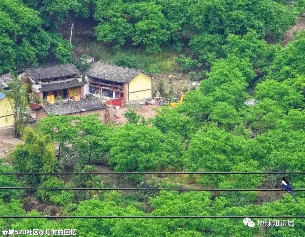 “5.22”大地震的原因找到了291 / 作者:儿时的回忆 / 帖子ID:285613