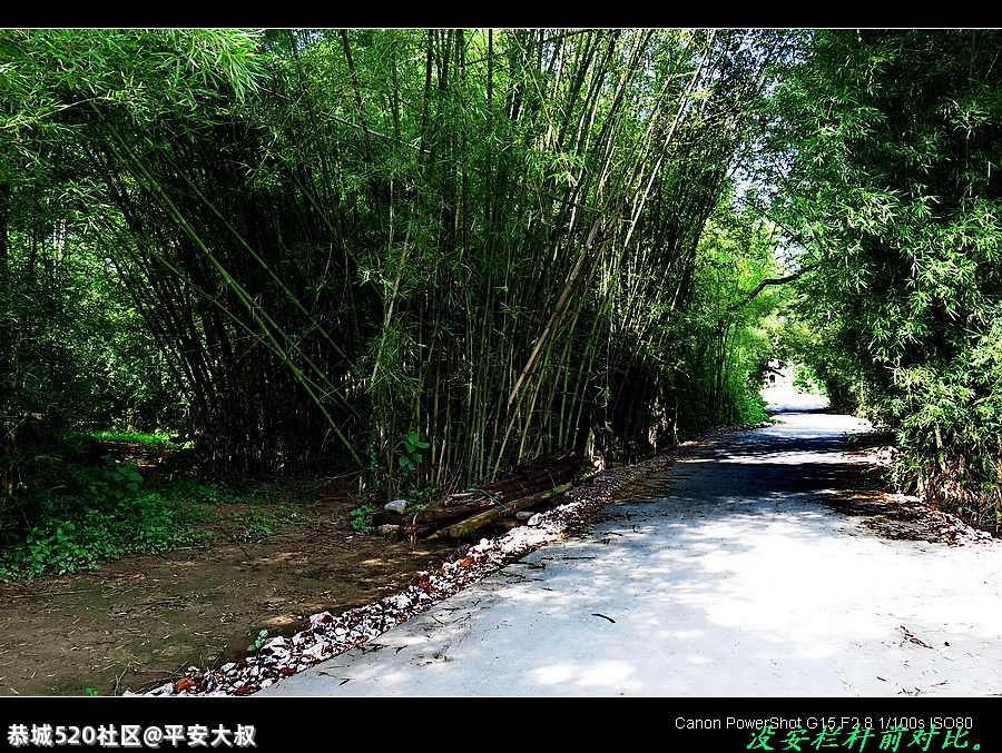 恭城这交通防护措施做得好。141 / 作者:平安大叔 / 帖子ID:285733