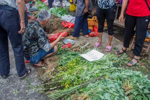 听说恭城今年的端午的药市还是在瑶汉养寿城那边，还有很多其他搞法497 / 作者:baby甜心 / 帖子ID:285786