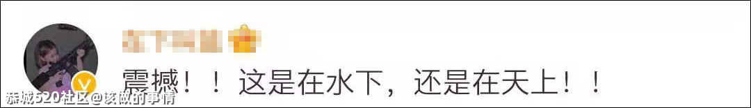 河南卫视端午节又来炸场了！253 / 作者:该做的事情 / 帖子ID:286143