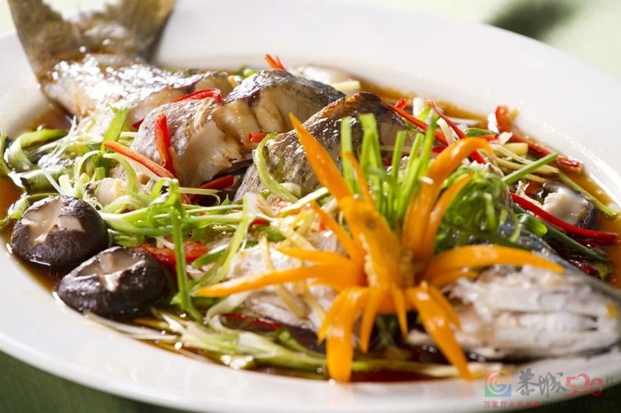 只吃素不吃肉，一个专坑长辈的「养生秘诀」538 / 作者:健康小天使 / 帖子ID:287062
