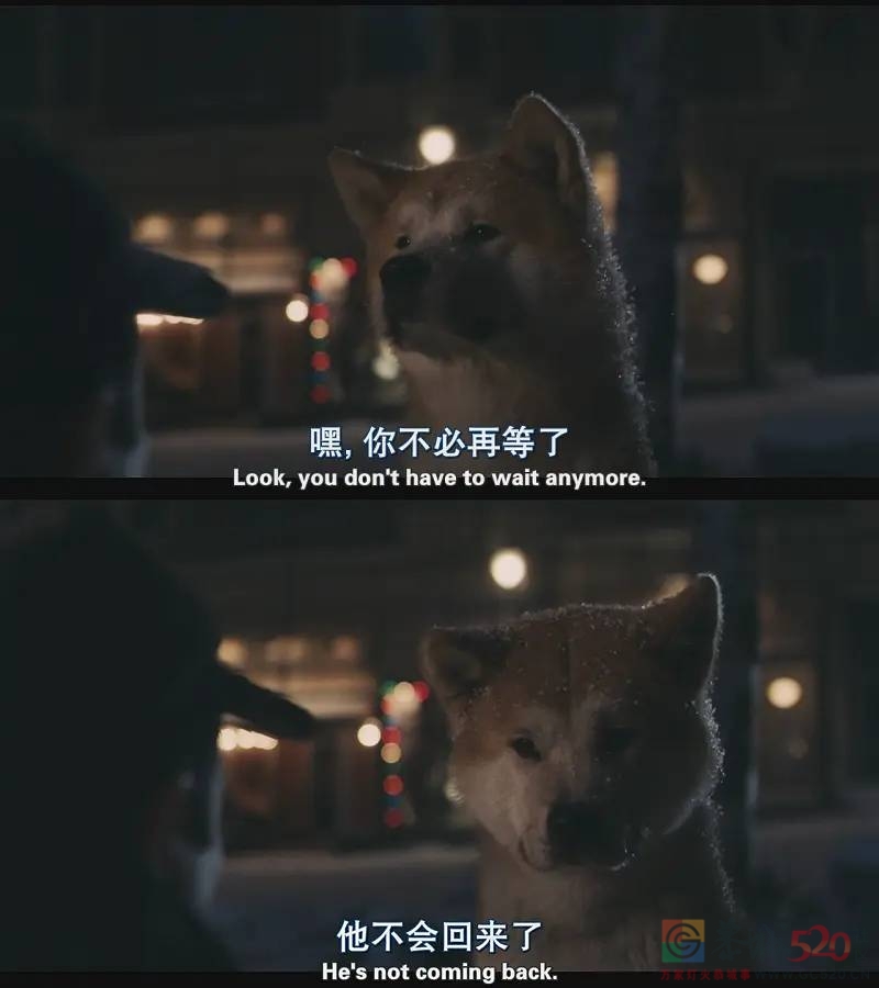 它的惨死，终于让全网不得不发声15 / 作者:儿时的回忆 / 帖子ID:287176