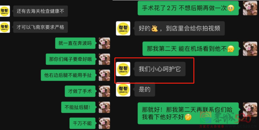 它的惨死，终于让全网不得不发声499 / 作者:儿时的回忆 / 帖子ID:287176
